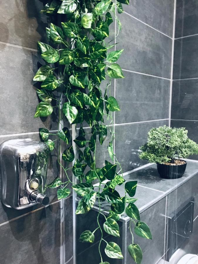 Nairo Harmony Residence Braşov Buitenkant foto