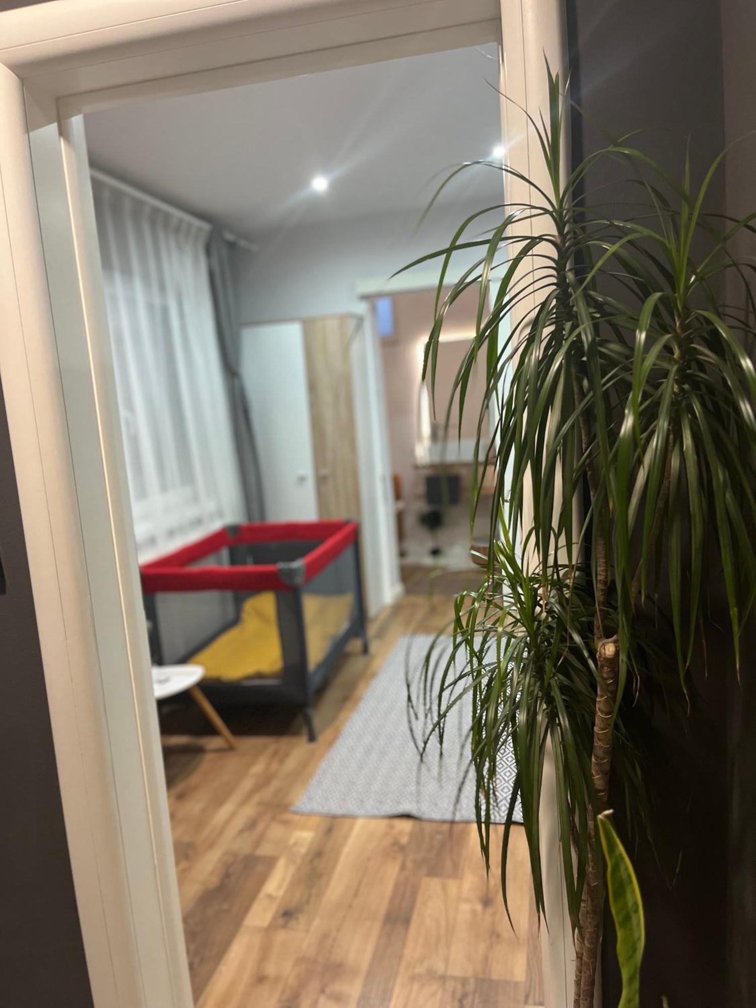 Nairo Harmony Residence Braşov Buitenkant foto
